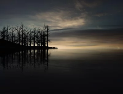 Dramatic Bare Trees Silhouettes Reflected in Still Water at Ethereal Sunset image