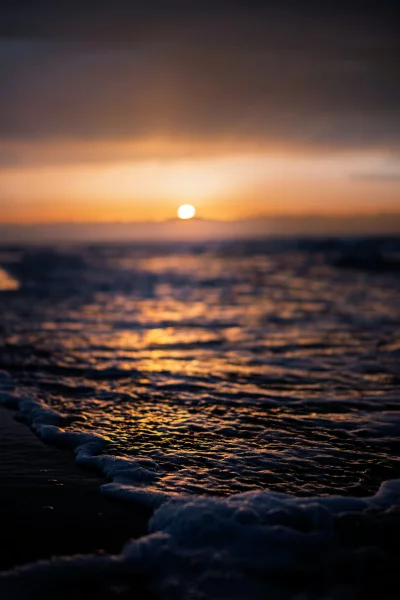 Serene Ocean Sunset with Foamy Waves Reflecting Golden Light
