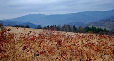 Autumn Mountain Landscape with Dry Golden Grass and Hazy Blue Hills image
