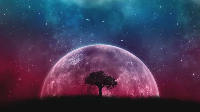 Fantasy Night Sky with Giant Red Planet and Lone Tree Silhouette image