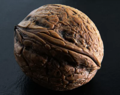 Detailed Macro Shot of a Single Walnut Shell on Dark Background image