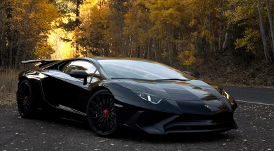 Sleek Black Lamborghini Supercar in Golden Autumn Landscape image