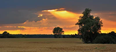 Dramatic Sunset Sky with Golden Sunrays Over Harvested Field and Silhouetted Trees image