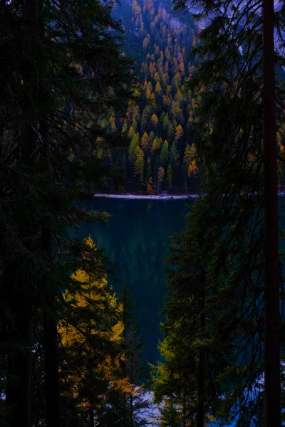 Autumn Forest Landscape with Mountain Lake Reflection and Pine Trees image