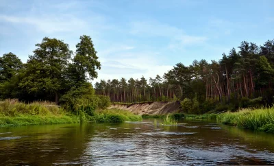 Serene River Flowing Through Lush Forest Landscape with Sandy Bank image