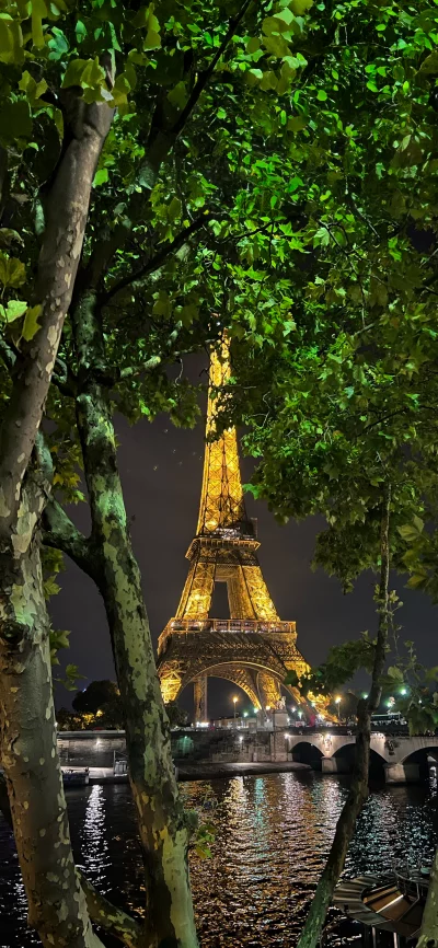 Golden Eiffel Tower Shines at Night with Seine River Reflections, Framed by Trees image